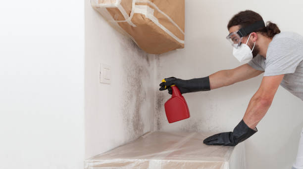 Professional Bathroom Mold Removal technician working in Abingdon, MD